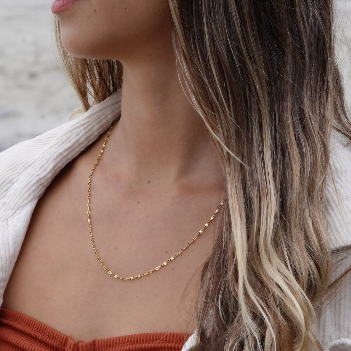 Shimmering Anchor Link Necklace